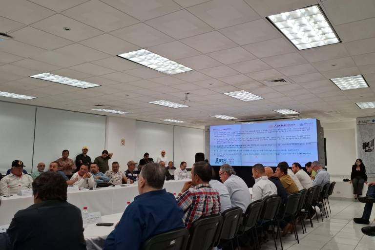 Definen inicio de capturas de camarón a partir del 19 de septiembre