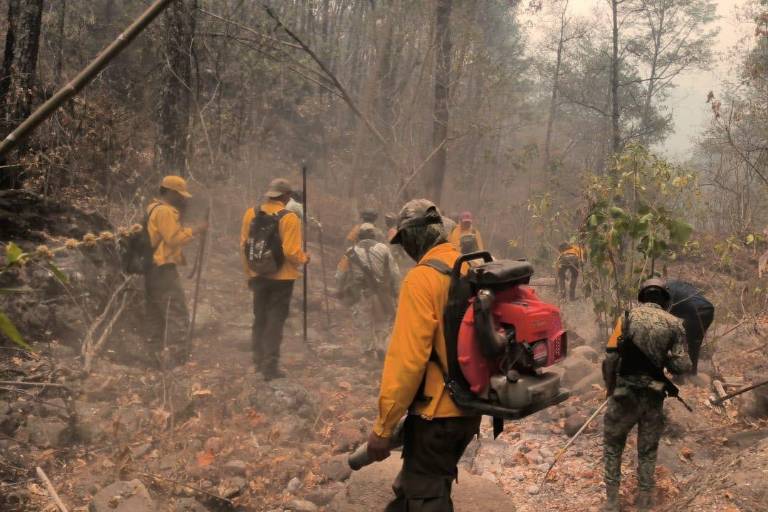 Combaten incendio forestal en la sierra de Concordia tras llamado ciudadano