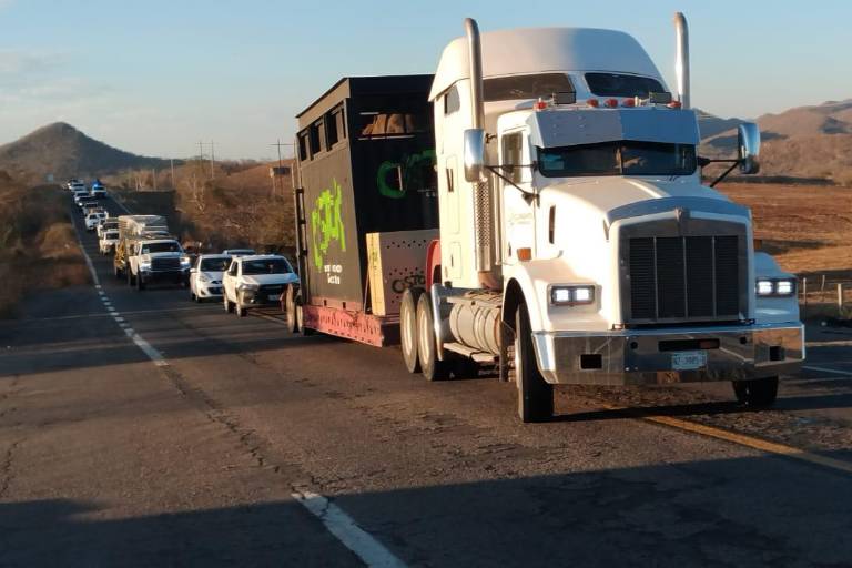 Animales del Santuario Ostok se van a proyecto turístico en Mazatlán