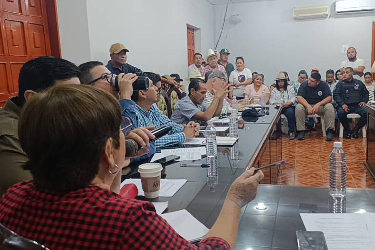 Acuerdan en Escuinapa manejo del mango al inicio del corte de la fruta