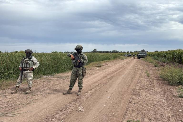 El colectivo de búsqueda Madres en Lucha por tu Regreso a Casa A.C., confirmó que el cadáver se encontraba en avanzado estado de descomposición.