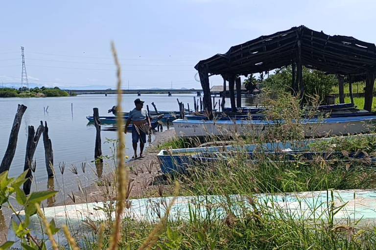 Advierten fracaso en la temporada de camarón en Escuinapa