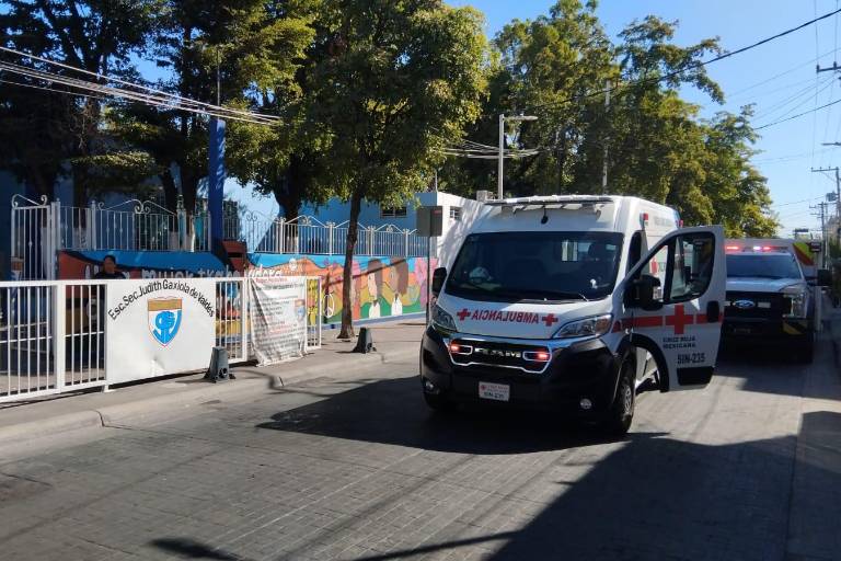 Alumnas de secundaria sufren picaduras de abeja; reciben atención médica