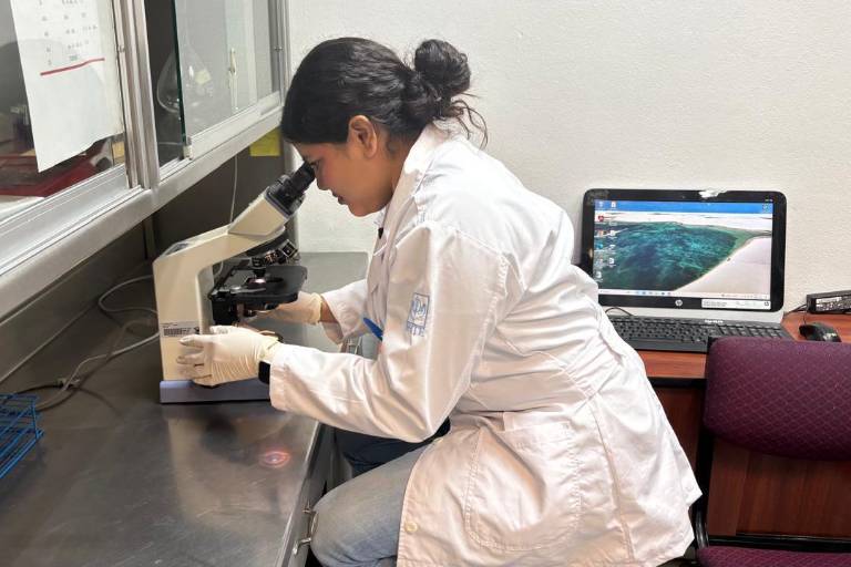 ¿Cuándo fue tu último chequeo? La UAS invita a la población a aprovechar sus servicios de análisis clínicos de alta calidad y bajo costo