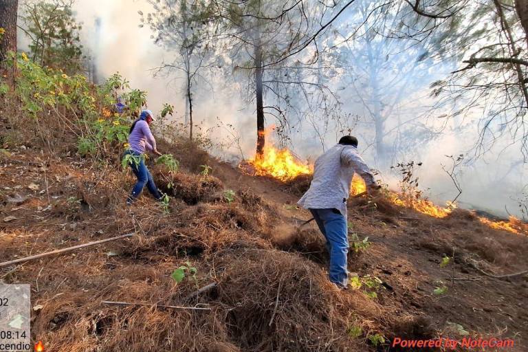 Reporta Gobierno de Sinaloa que incendio en sierra de Concordia está controlado