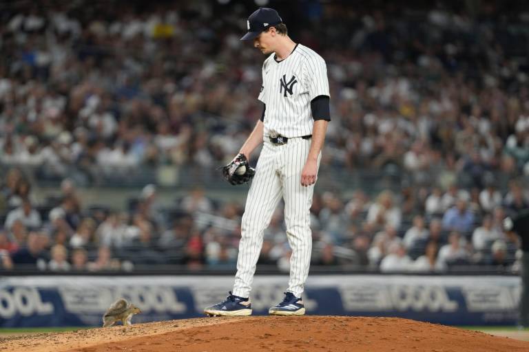 ¡De locura! Una ardilla se roba el show al invadir el campo en el Yankee Stadium