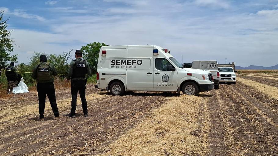 Hallan cuerpo en estado de descomposición en un dren de El Tamarindo, entre Culiacán y Navolato