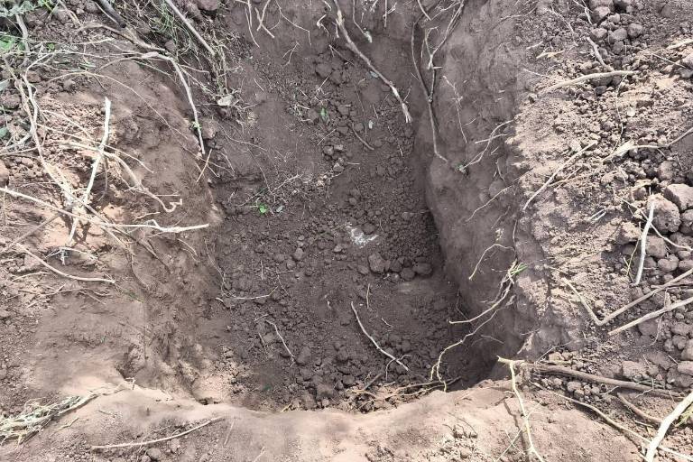 Reporta Sabuesos Guerreras hallazgo de restos humanos en La Colorada, Angostura