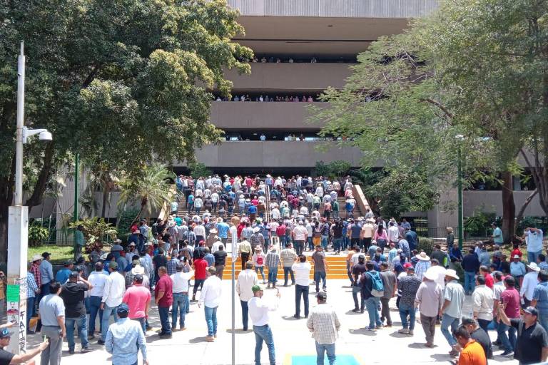 Agricultores de Sinaloa llegan al Palacio de Gobierno para exigir precios de garantía