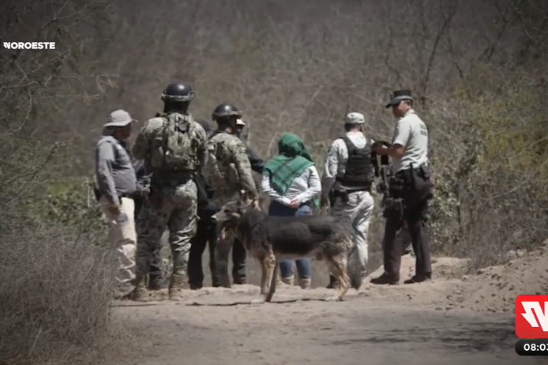 Registro Nacional contabiliza 183 desaparecidos y no localizados más que hace seis meses en Sinaloa