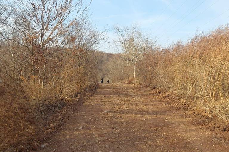 Identifican a hombre asesinado a golpes en Culiacán