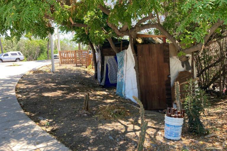 Denuncian omisión de autoridades ante tala de mangle en Estero del Infiernillo