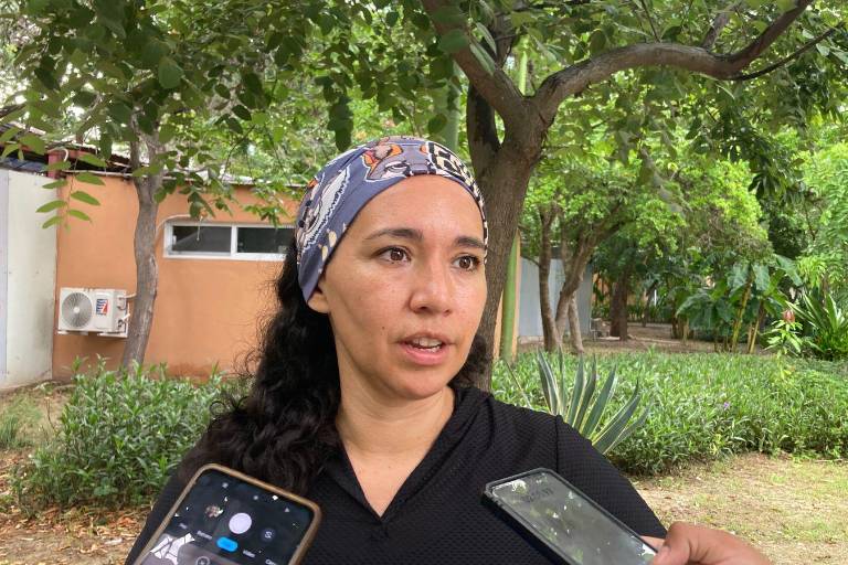 Suma Ecología más de 4 mil esterilizaciones de mascotas en los últimos ocho meses, en Mazatlán