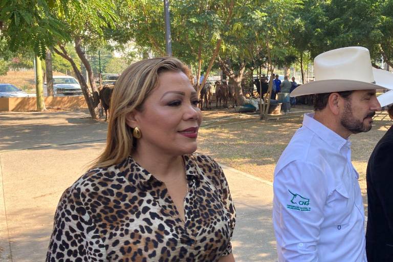 Claudia Valdez aseguró que se mantienen operativos de seguridad en Rosario para proteger a sus habitantes.