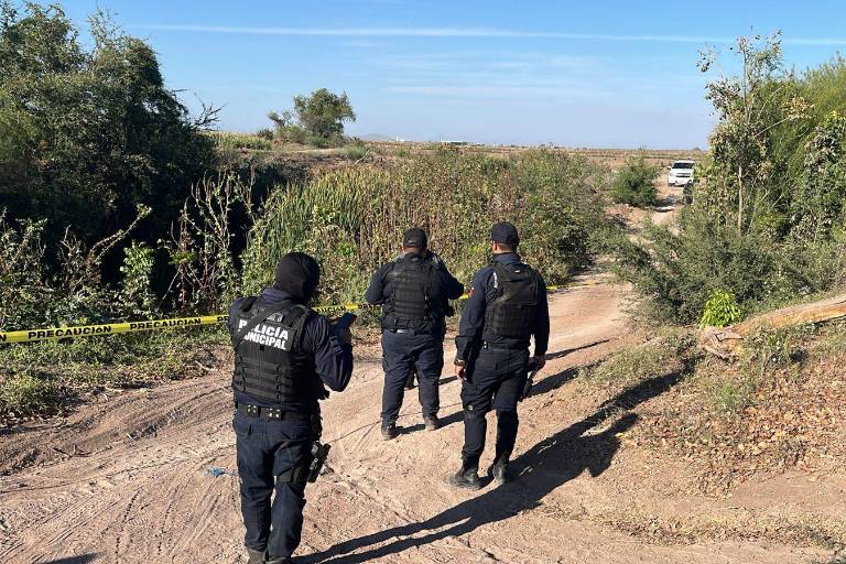 En fosas encontradas al sur de Culiacán podría haber más de 11 cuerpos: Comisionada estatal de Búsqueda