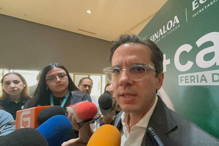 Diego Armando Aguerrebere Espitia, Secretario de Economía de Sinaloa.