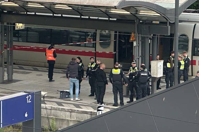 Ataque con cuchillo en Hamburgo deja 17 heridos