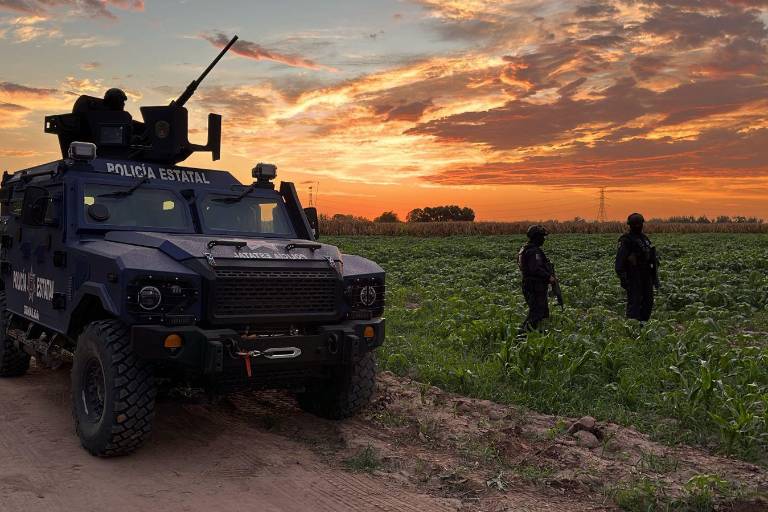 Hallan a un hombre asesinado a balazos en parcela de Navolato