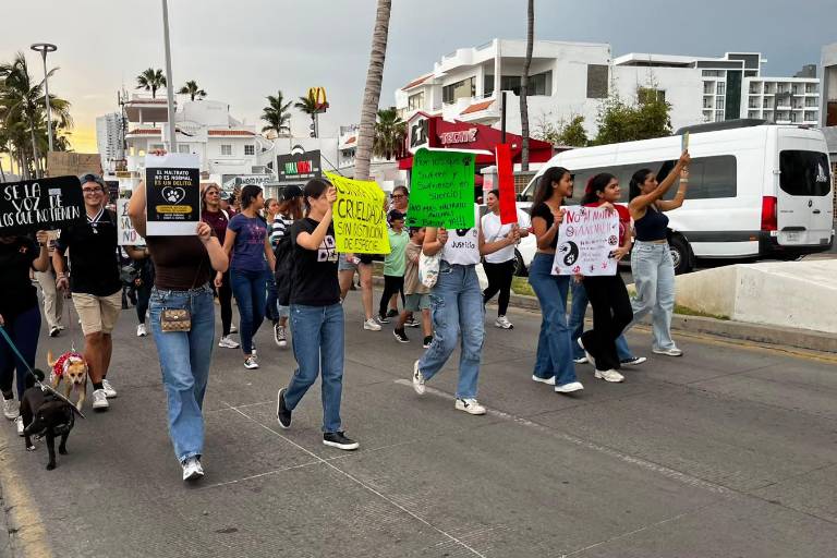 Alrededor de 60 personas y mascotas participaron en la manifestación.