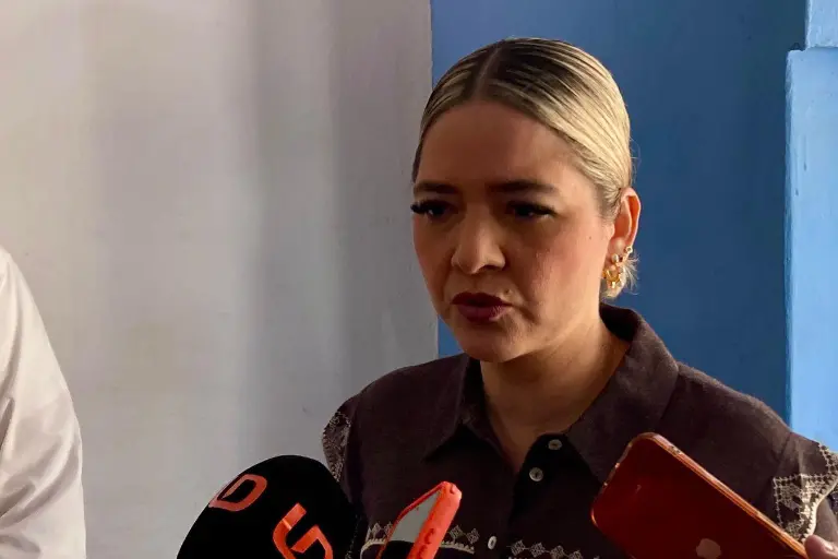 El Presupuesto de Egresos estará destinado a los rubros que más lo necesitan los mazatlecos, indicó Palacios Domínguez.