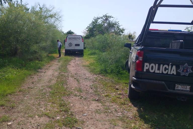 Hombre muere tras ser atacado por un caimán en un canal del Eldorado, al sur de Culiacán
