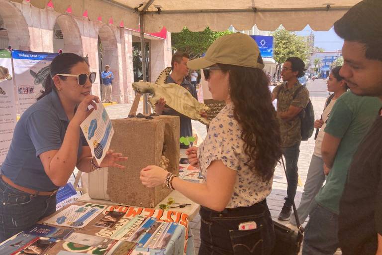 Expo Ambiental en Mazatlán destaca esfuerzos de limpieza pese a falta de información oficial