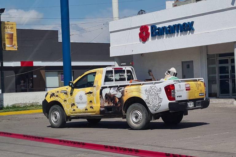 Emite Protección Civil recomendaciones a la ciudadanía tras percance con abejas en Mazatlán