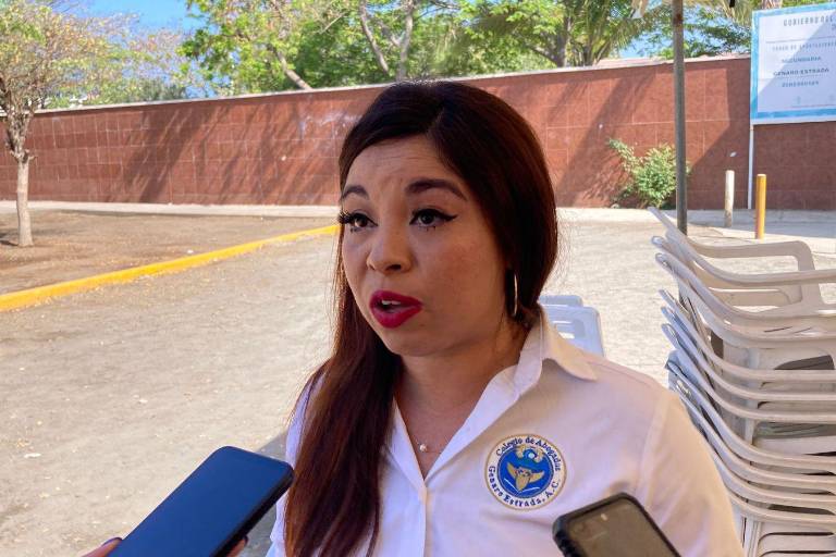 Colegio de abogados en Mazatlán registra aumento de atenciones en casos de materia penal