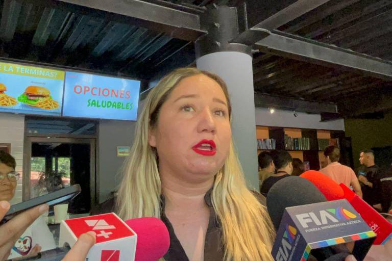 Perritos, las otras víctimas de la guerra en Sinaloa