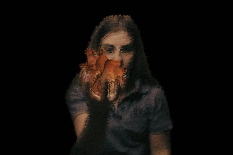 La muestra se conforma de 38 cortometrajes.