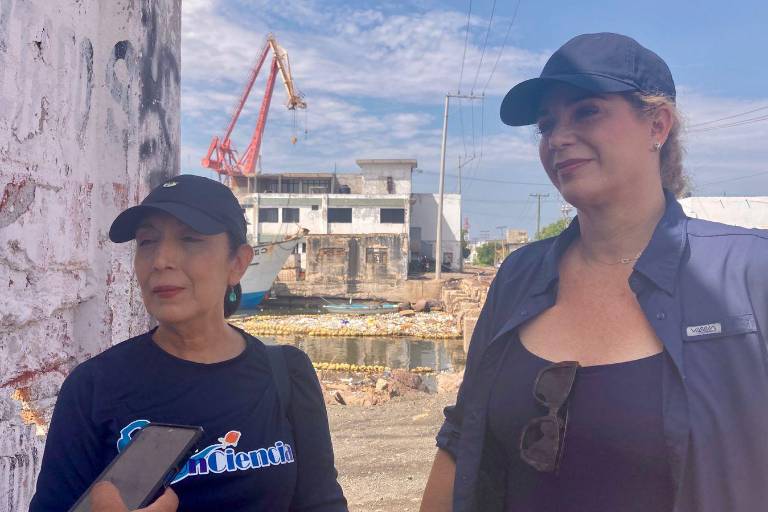 Llaman ambientalistas a que autoridades continúen labor de retirar invasiones del estero del Infiernillo, en Mazatlán