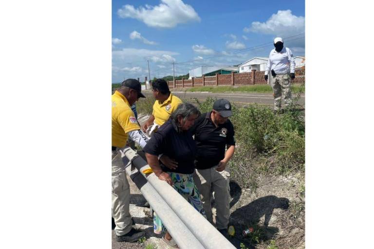 Comerciantes de camarón en la salida sur de Escuinapa son atacados por abejas