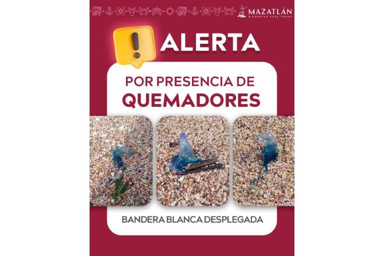 Alerta de quemadores en las playas de Mazatlán.