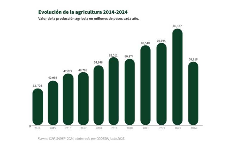 Producción agrícola de Sinaloa en 2024 registró su menor valor en cinco años