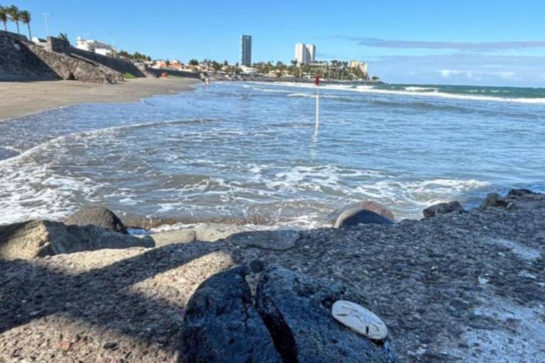 Empresa responsable del derrame de hidrocarburos ‘todavía no se tiene identificada’: Sheinbaum; crea grupo interdisciplinario para atender emergencia