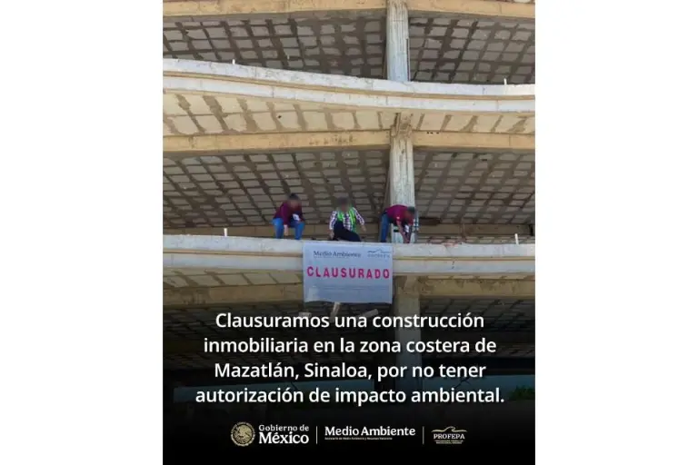 Reporte de la clausura temporal de una construcción en zona de manglar en Mazatlán.