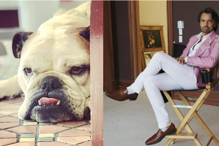 Pierde Eugenio Derbez a su perrita ‘Fiona’