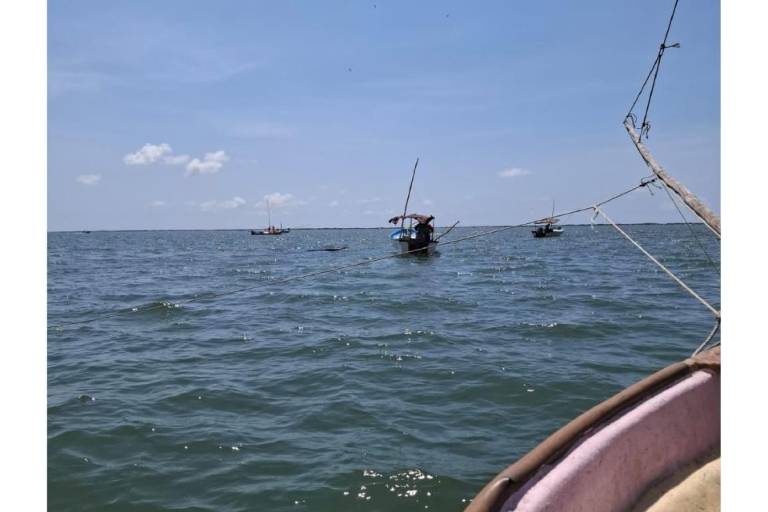 En Altata inicia captura de camarón con más producto y mejores tallas que años atrás