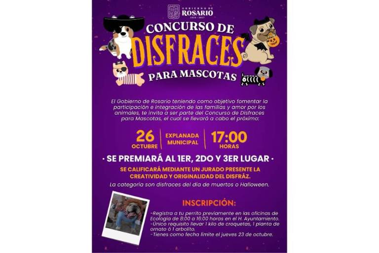 Gobierno de Rosario prepara concurso de disfraces de mascotas
