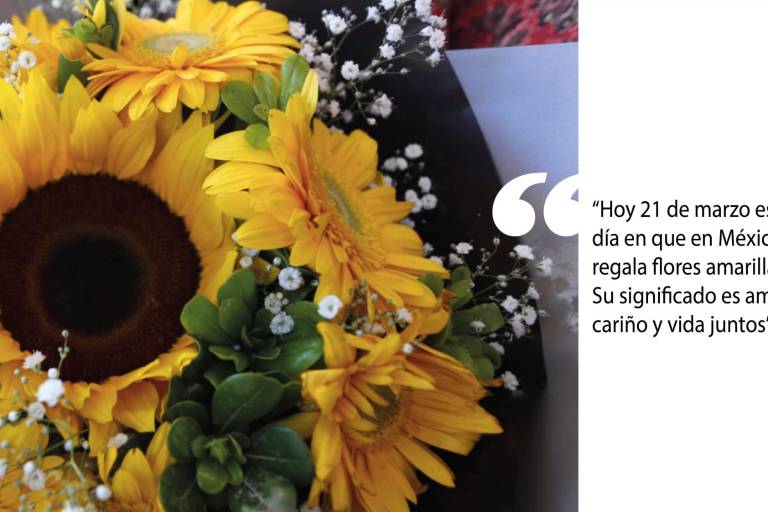Se desata venta de flores amarillas en Mazatlán; significan cariño, amor o vida juntos