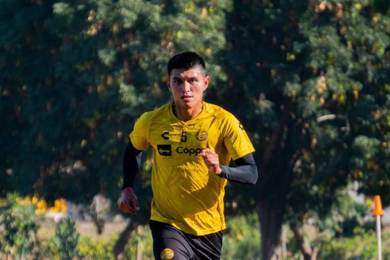 Dorados de Sinaloa, tan cerca y tan lejos de la clasificación