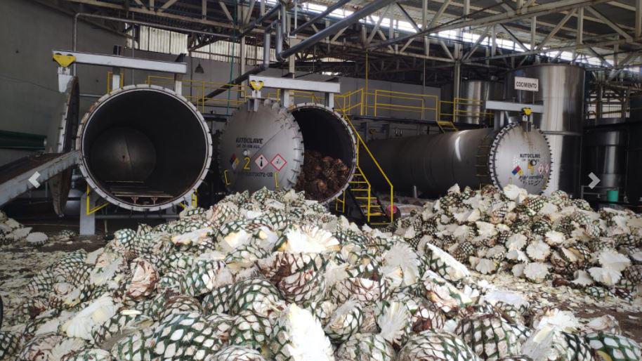 $!Celebra México el Día Nacional del Tequila