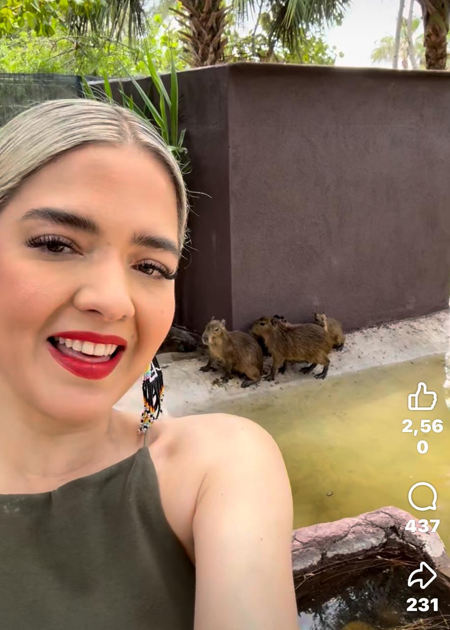 $!Llegan los capibaras al Gran Acuario Mazatlán