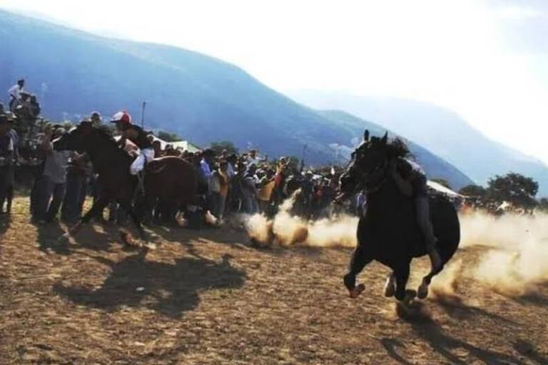 Balacera en carrera de caballos clandestina habría dejado 11 muertos en El Sauz, Chihuahua