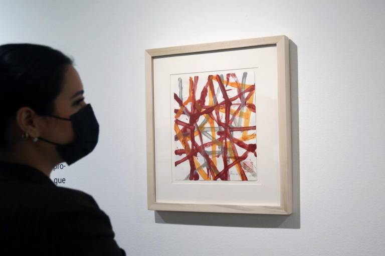 Abre en el Masin nueva exposición del maestro Francisco Castro Leñero