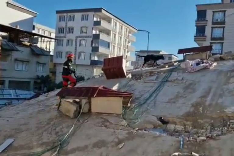 Más de 11 mil personas han muerto por sismos en Turquía y Siria