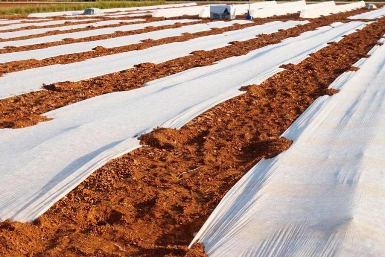 Un llamado a reducir el uso de los plásticos en el Día Mundial de la Tierra