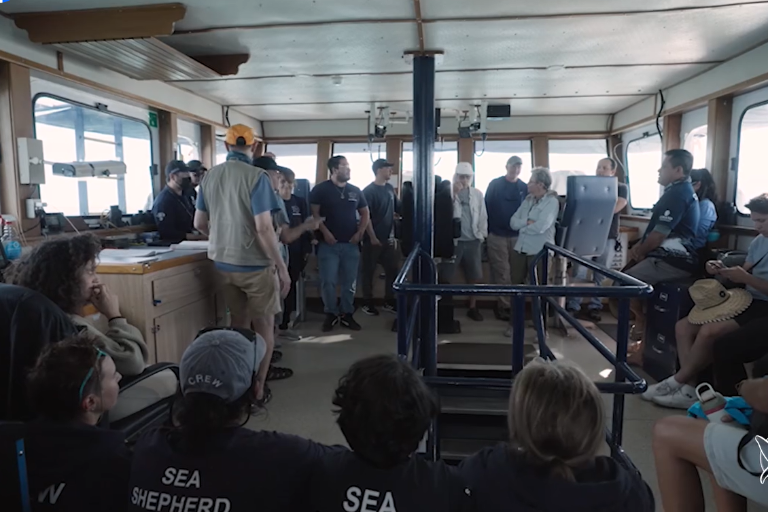 Jóvenes de Baja California se convierten en los nuevos observadores comunitarios de la vaquita marina