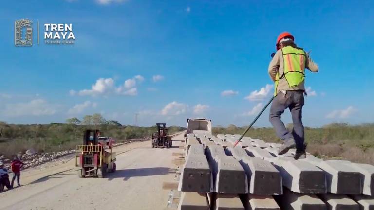Estudio analizó los posibles daños de la construcción del Tren Maya en diferentes ámbitos.