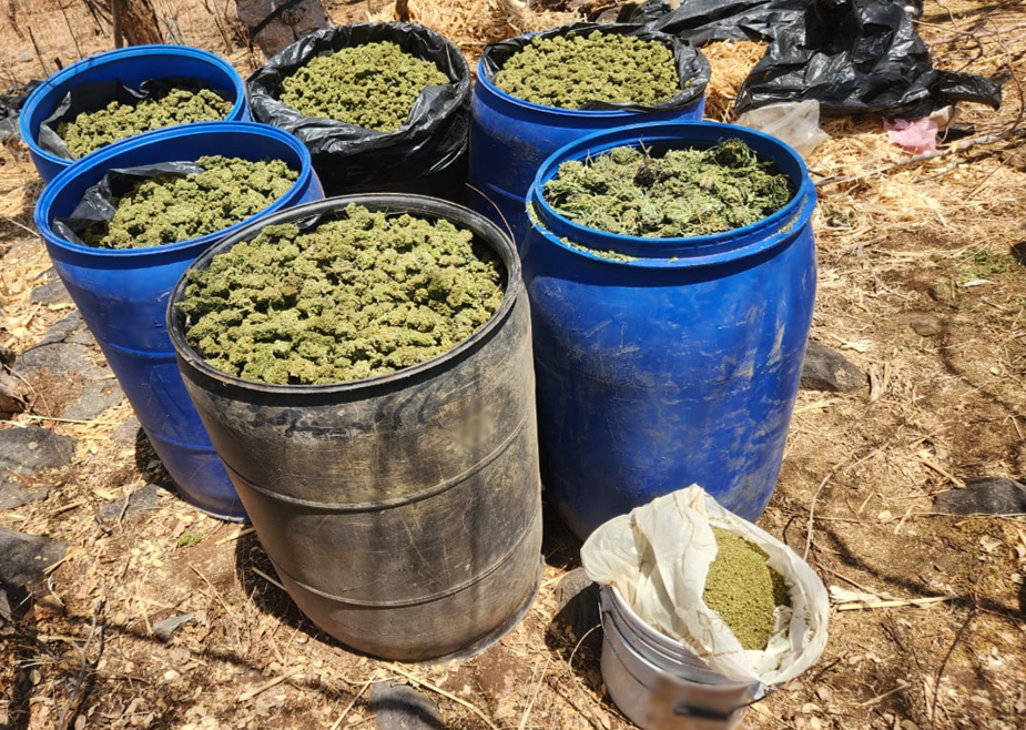 $!Autoridades federales detienen a cuatro y decomisan más de 160 millones de pesos en drogas